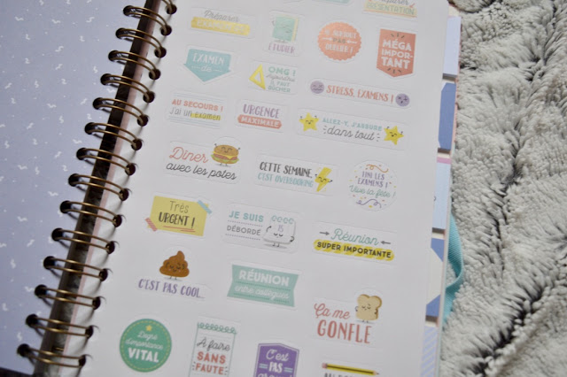 Allez, lance toi et brille de Mr Wonderful
