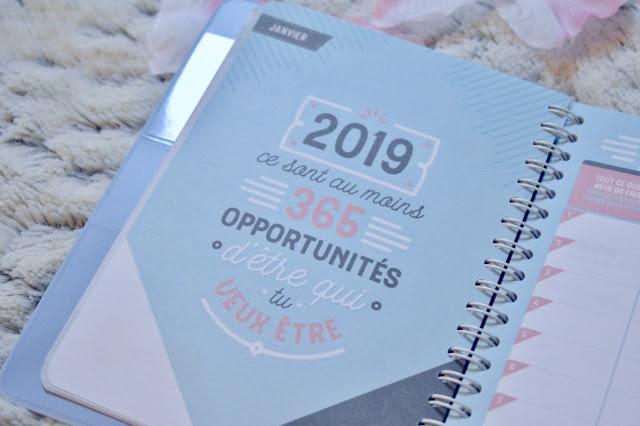 Agenda 2019 Mr Wonderful