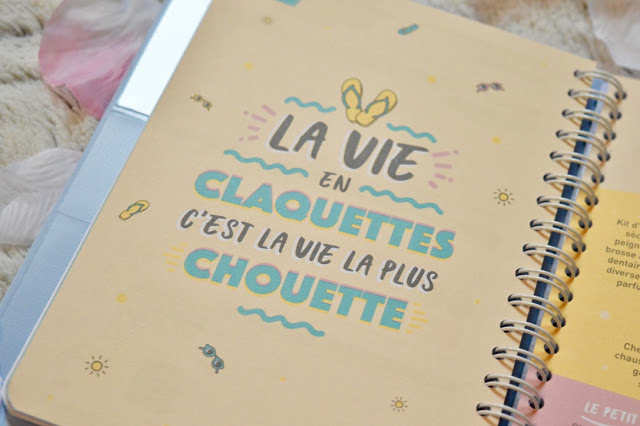 Agenda 2019 Mr Wonderful