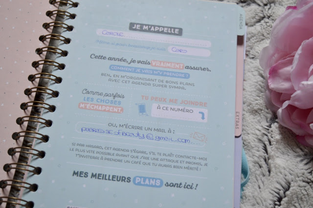 Allez, lance toi et brille de Mr Wonderful