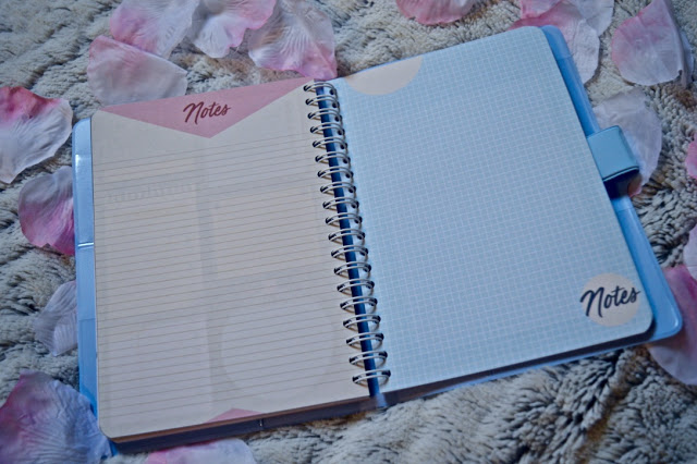 Agenda 2019 Mr Wonderful