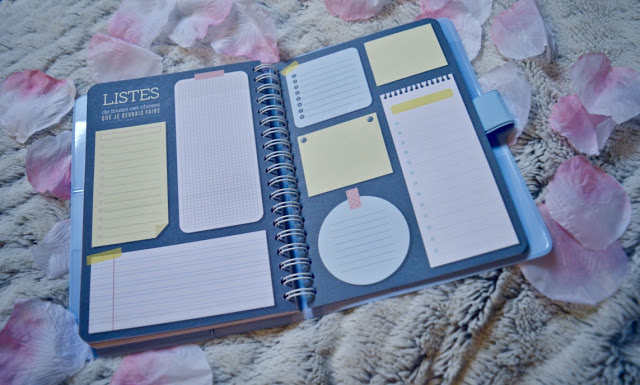 Agenda 2019 Mr Wonderful