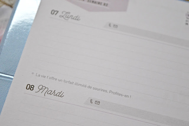 Agenda 2019 Mr Wonderful