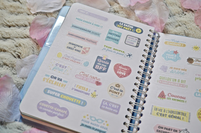 Agenda 2019 Mr Wonderful